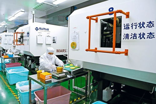 结对合作助转型，数字技术赋能企业新飞跃